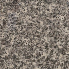Leopard skin granite