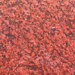 Absolute red granite